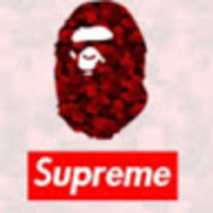 Meet your Posher, Carter